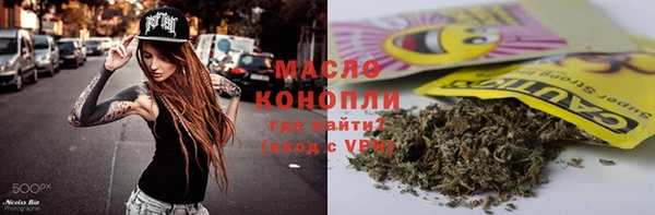 прущие крисы Бородино