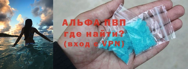 прущие грибы Бронницы