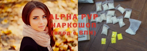 прущие крисы Бородино