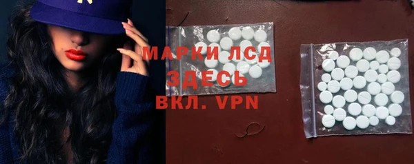 прущие грибы Бронницы