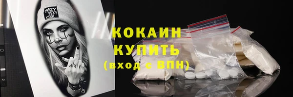 прущие крисы Бородино