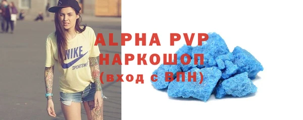 прущие крисы Бородино