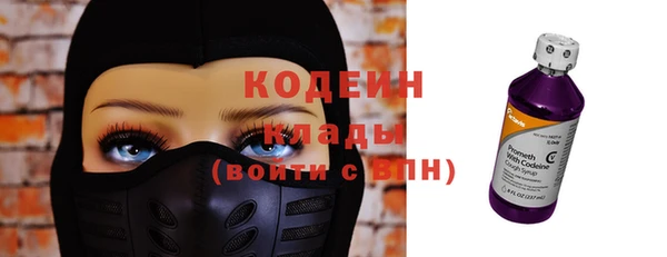 прущие грибы Бронницы