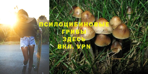 прущие грибы Бронницы