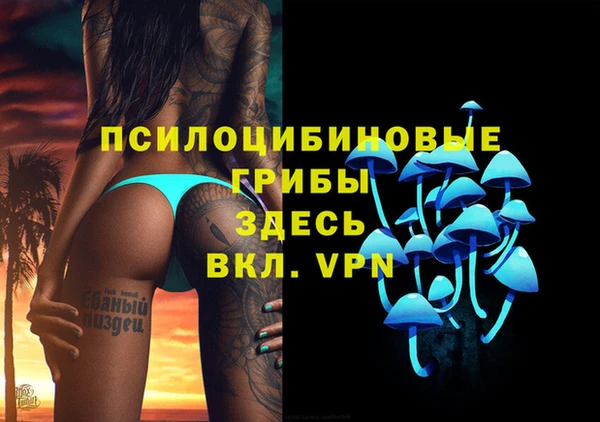 прущие крисы Бородино