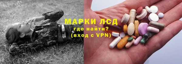 прущие грибы Бронницы